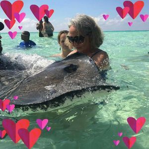 Meet your Posher, Laurie